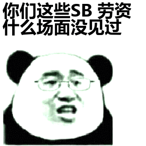 你们这些sb劳资什么场面没见过表情包