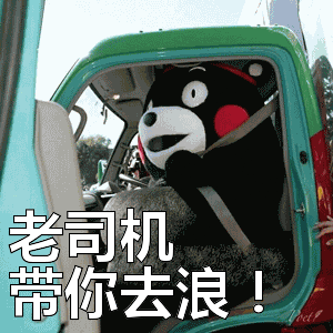 熊本熊:老司机带你去浪!表情包