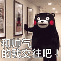 熊本熊表情包