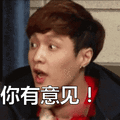 张艺兴：你有意见！表情包
