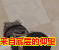 你那么厉害,咋不上天表情包动态gif表情图片 - 找表情