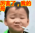 搞笑:厉害了,我的哥表情包