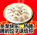 搞笑:冬至快乐,热腾腾的饺子送给你表情包