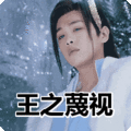 搞笑:王之蔑视表情包