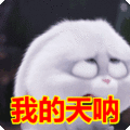 搞笑:我的天呐表情包
