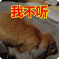 搞笑:我不听表情包