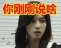 搞笑:你刚刚说啥表情包