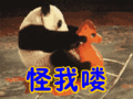 谁在叫我表情包动态gif表情图片 - 找表情上表情家