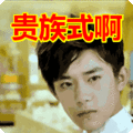 搞笑:贵族式啊表情包