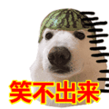 搞笑:笑不出来表情包