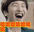 搞笑:哈哈哈哈哈哈哈表情包