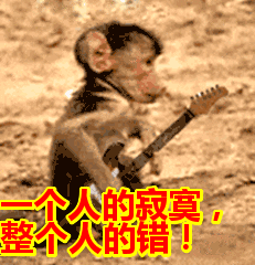 一个人的寂寞,整个人的错!表情包