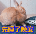 壁纸 动物 兔子 120_114 gif 动态图 动图