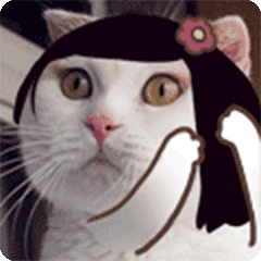 壁纸 动物 猫 猫咪 小猫 桌面 240_240 gif 动态图 动图