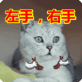 搞笑:左手,右手表情包