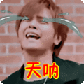 搞笑:天呐表情包