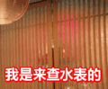 搞笑:我是来查水表的表情包