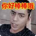 搞笑:你好棒棒哦表情包