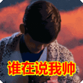 搞笑:谁在说我帅表情包