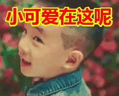 小可爱在这呢表情包动态gif表情图片 - 找表情上表情家