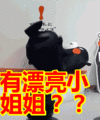 快跑,快跑表情包动态gif表情图片 - 找表情上表情家