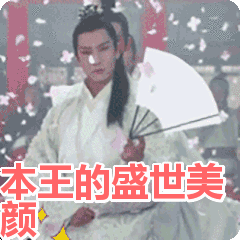 本王的盛世美颜表情包动态gif表情图片 - 找表情上
