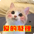 错错错,是我的错表情包