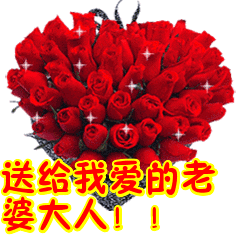 送给我爱的老婆大人!表情包