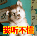 搞笑:我听不懂表情包