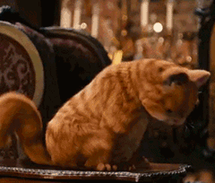 首页 搞笑表情包  打招呼,加菲猫的表情包