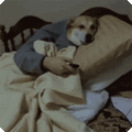 搞笑:表情包