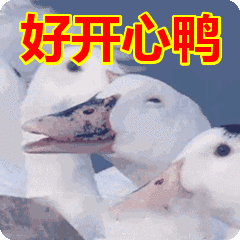 好开心鸭表情包动态gif表情图片 - 找表情上表情家