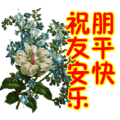 搞笑:祝朋友平安快乐表情包