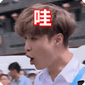 何炅,说悄悄话的表情包动态gif表情图片 - 找表情上