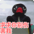 搞笑:求求你别伤害我表情包