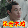 搞笑:呆若木鸡表情包