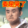搞笑:委屈哭了表情包