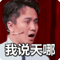 搞笑:我说天哪表情包