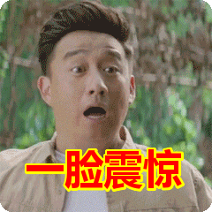 首页 搞笑表情包  一脸震惊表情包