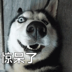 惊呆了表情包动态gif表情图片 - 找表情上表情家